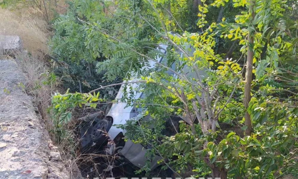 Στυλίδα: Έπεσε από γέφυρα, καρφώθηκε σε δέντρο και βγήκε… χωρίς γρατζουνιά